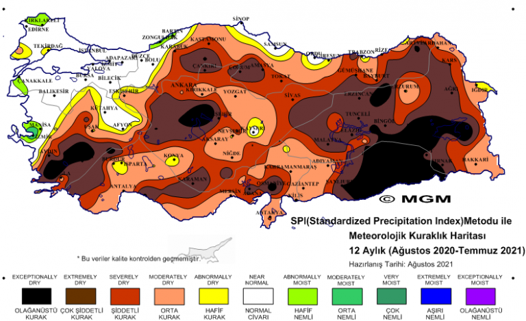 12aylik_nyi-768x469-1.png