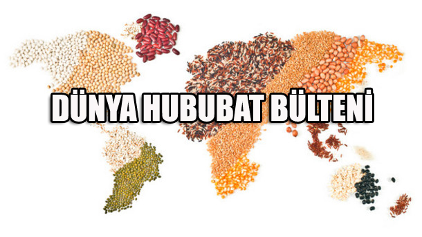 dunyahububatbulteni-2